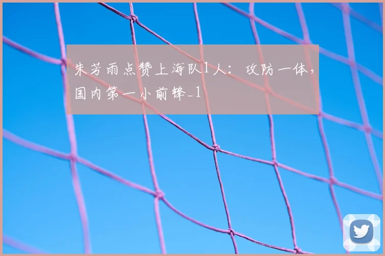 朱芳雨点赞上海队1人：攻防一体，国内第一小前锋_1