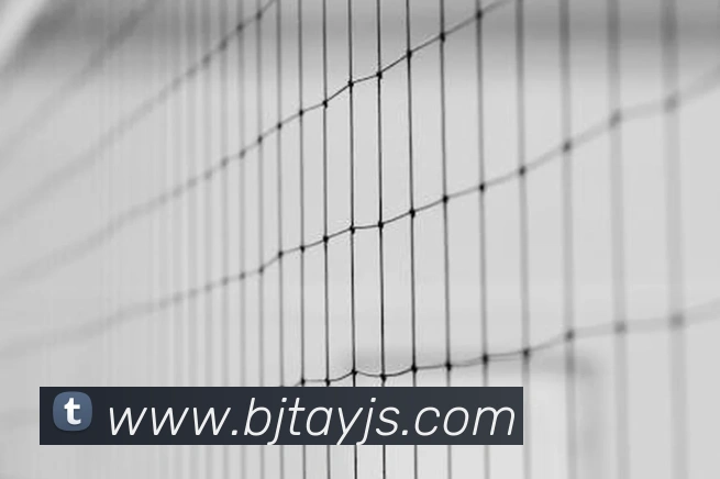 乐鱼官网app登录入口平台生态图